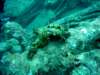 dsc03119_small.jpg