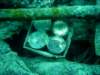 dsc03120_small.jpg