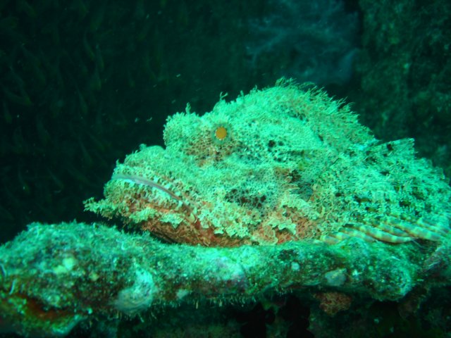 dsc03124.jpg