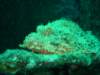 dsc03124_small.jpg