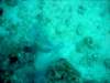 dsc03125_small.jpg