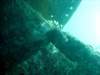 dsc03131_small.jpg