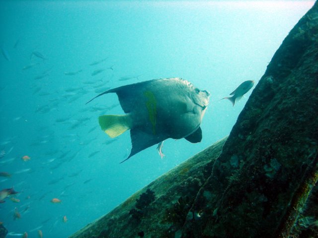dsc03132.jpg