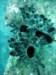 dsc03133_small.jpg
