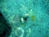 dsc03134_small.jpg