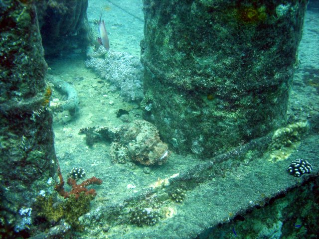 dsc03139.jpg