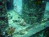 dsc03139_small.jpg