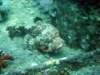 dsc03140_small.jpg