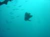 dsc03141_small.jpg