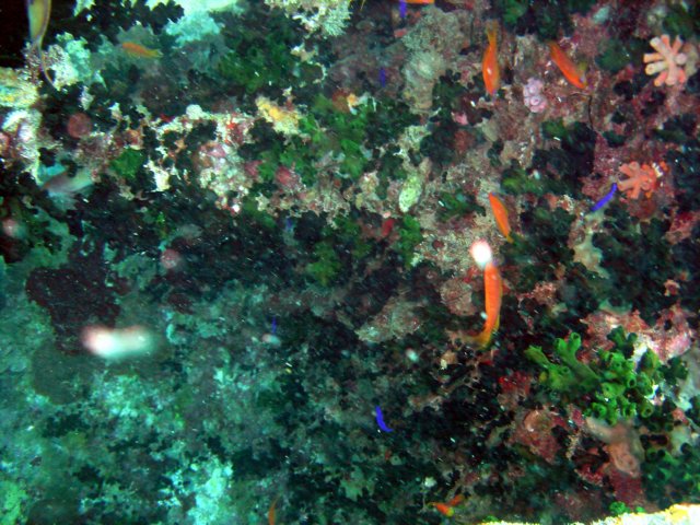 dsc03142.jpg