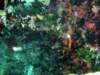 dsc03142_small.jpg