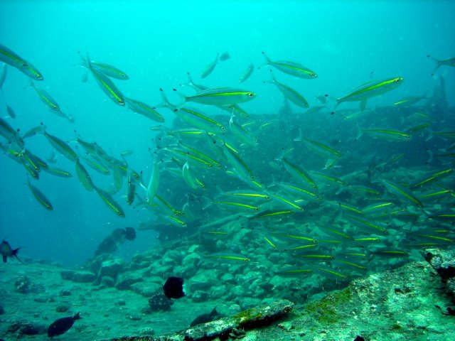dsc03145.jpg