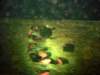 dsc03149_small.jpg