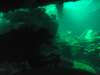 dsc03150_small.jpg