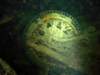 dsc03153_small.jpg
