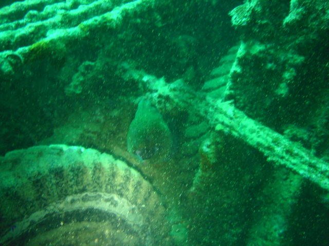 dsc03155.jpg