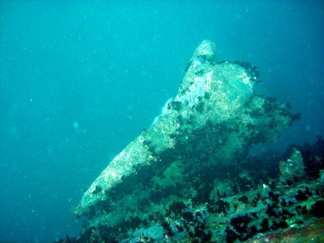 dsc03157.jpg
