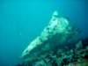 dsc03157_small.jpg