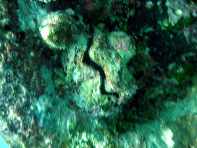 dsc03160.jpg