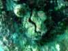 dsc03160_small.jpg