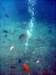 dsc03161_small.jpg