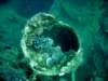 dsc03163_small.jpg