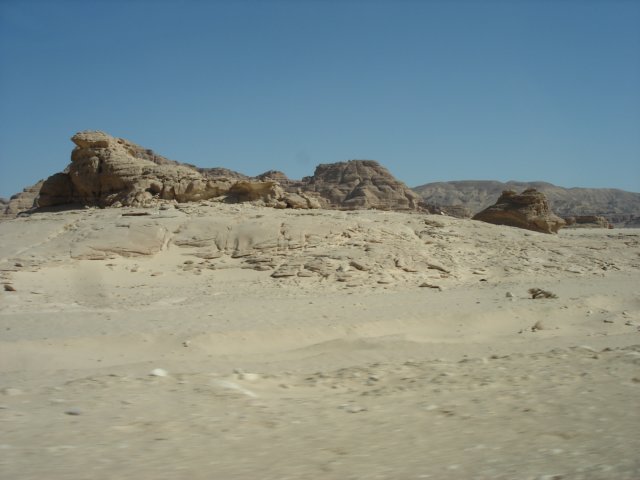 dsc03183.jpg