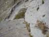 dsc03284_small.jpg