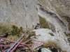 dsc03285_small.jpg