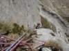 dsc03286_small.jpg