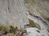 dsc03287_small.jpg
