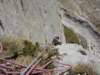 dsc03289_small.jpg