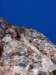 dsc03368_small.jpg