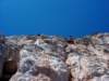 dsc03377_small.jpg