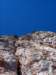 dsc03381_small.jpg