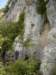 dsc03299_small.jpg