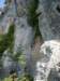 dsc03301_small.jpg