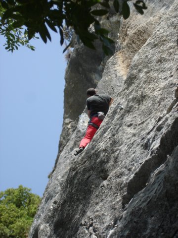 dsc03304.jpg