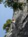 dsc03311_small.jpg
