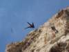 dsc03404_small.jpg