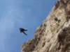 dsc03406_small.jpg