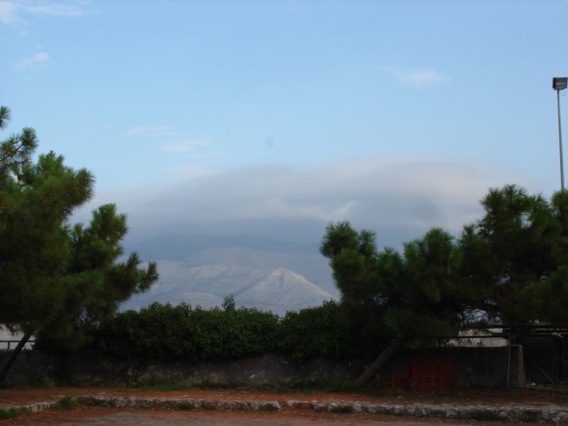dsc03420.jpg