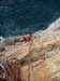 dsc03437_small.jpg