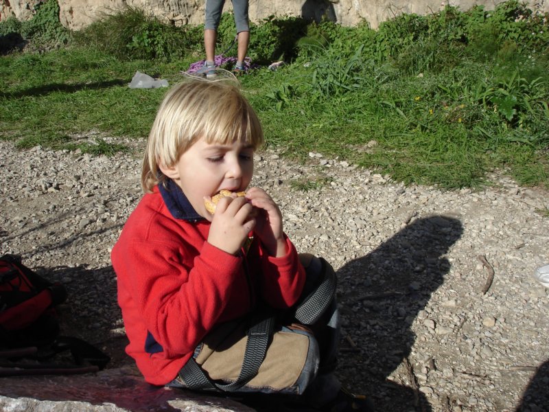 dsc03495.jpg