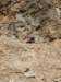 dsc03498_small.jpg