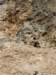 dsc03499_small.jpg
