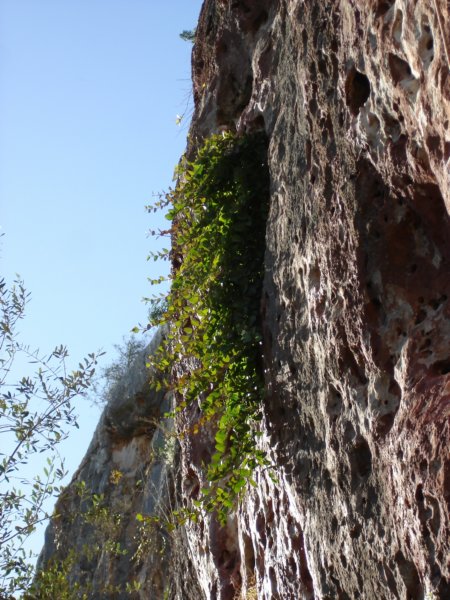 dsc03597.jpg