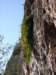 dsc03597_small.jpg