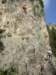 dscn1207_small.jpg