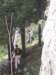 dscn1213_small.jpg